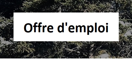 Offre d'emploi