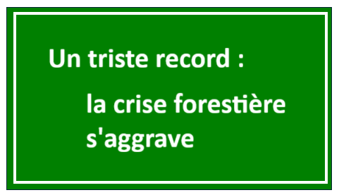 Un triste record : la crise forestière s’aggrave