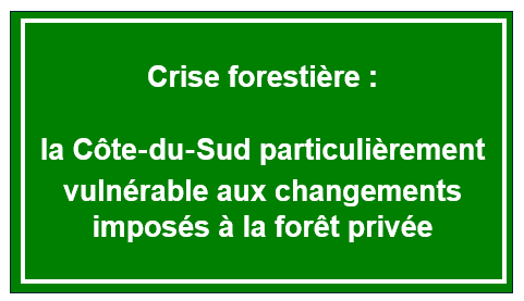 Crise forestière : la Côte du Sud particulièrement vulnérable aux changements imposés à la forêt privée