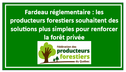Fardeau réglementaire : les producteurs forestiers souhaitent des solutions plus simples pour renforcer la forêt privée