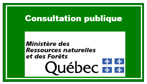 Consultation publique